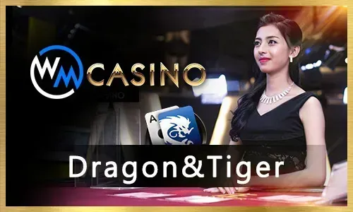 Beginner's Bingo Guide